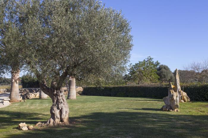 Fincabalear Mallorca Finca Abaix Muro 27